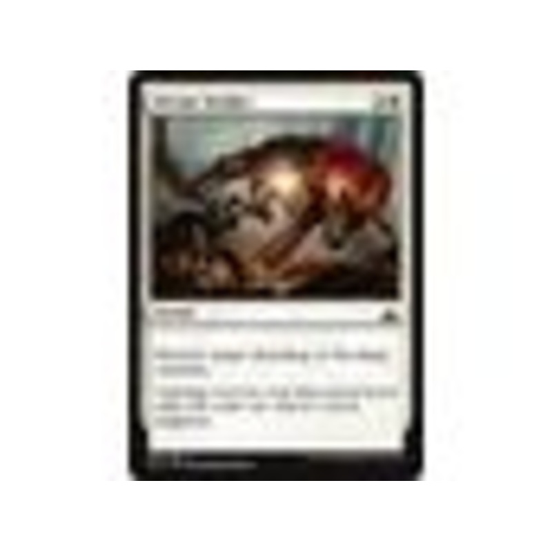Magic the Gathering - Divine Verdict - Common - RIX005