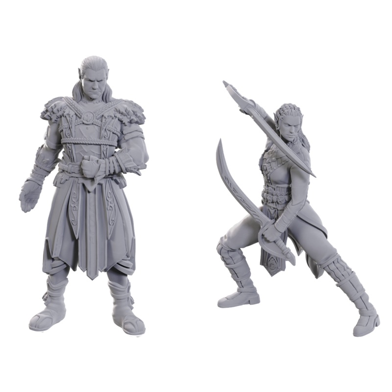 Wizkids - Dungeons and Dragons - Unpainted Miniature - Baldurs Gate 3 Special Edition - Jaheira and Halsin - 96368 - Pre-Order May 15th 2025