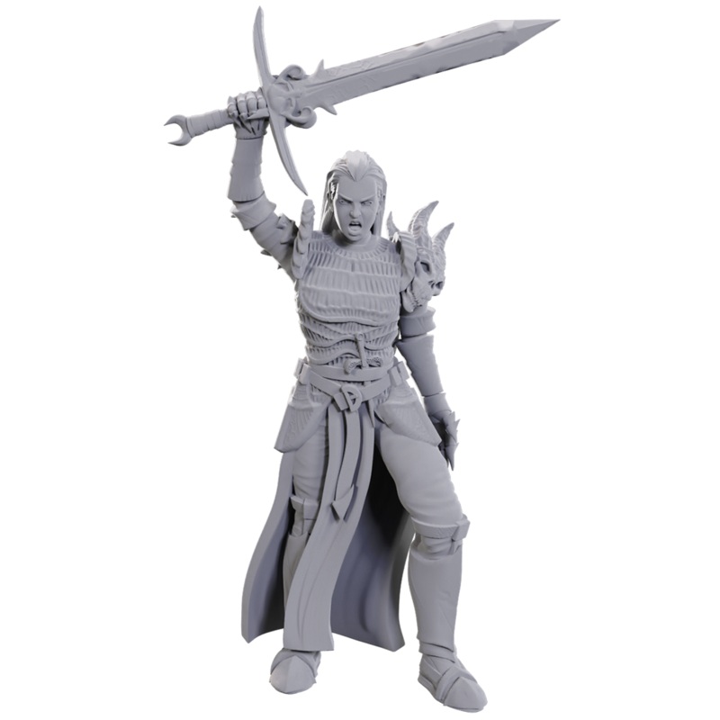 Wizkids - Dungeons and Dragons - Unpainted Miniature -  Nolzurs Marvelous Miniatures - Blackguard - 90772