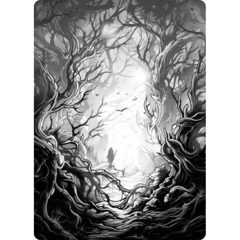 Forest 1 Art Card [Innistrad: Midnight Hunt Art Series]