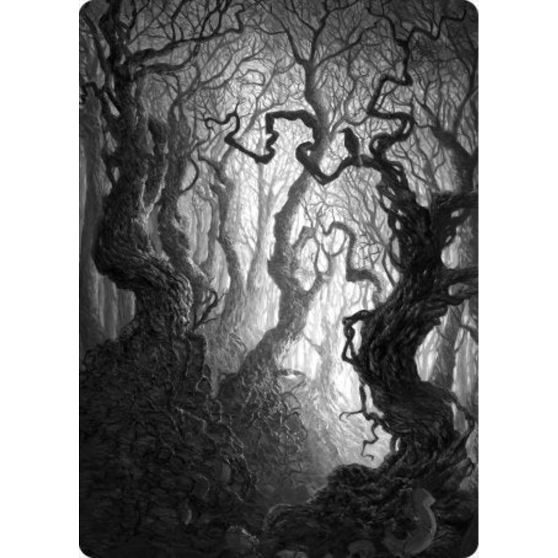 Forest 2 Art Card [Innistrad: Midnight Hunt Art Series]