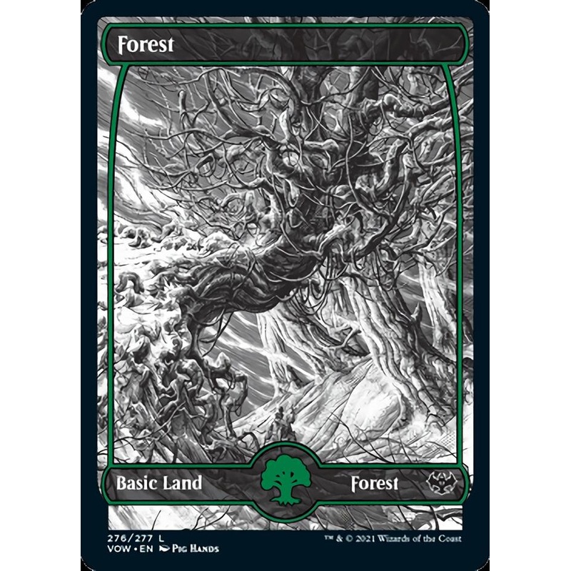 Forest (276) [Innistrad: Crimson Vow]