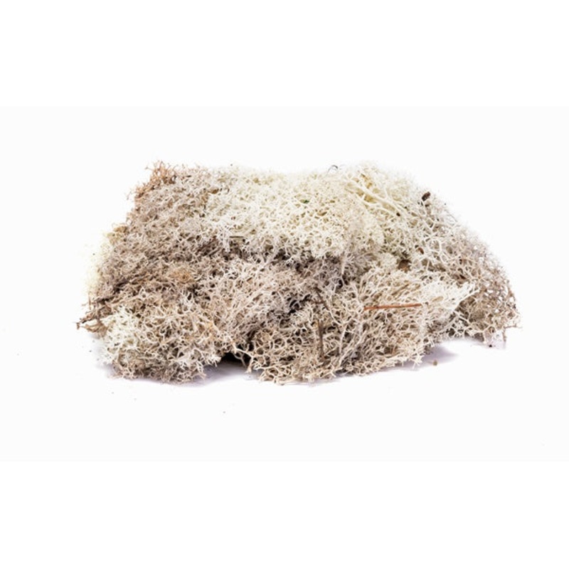 Hornby - R7193 Lichen Stone Grey (35g)