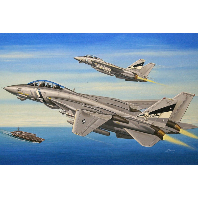 Hobby Boss - 1/72F-14d Super Tomcat (80278)