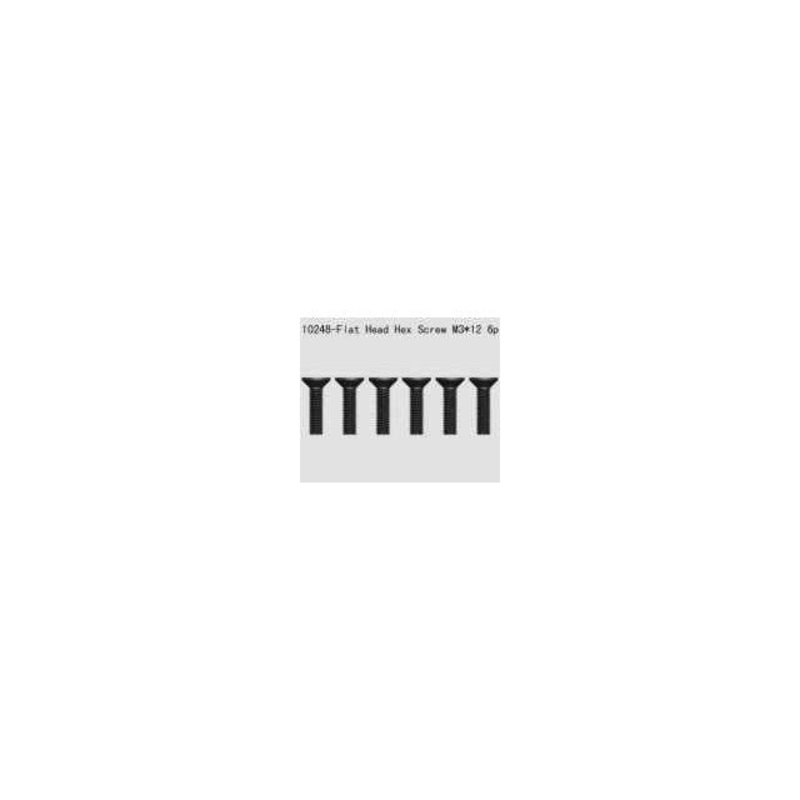 River Hobby - RH10248 3 x 12mm Csk Hex Screw (6)