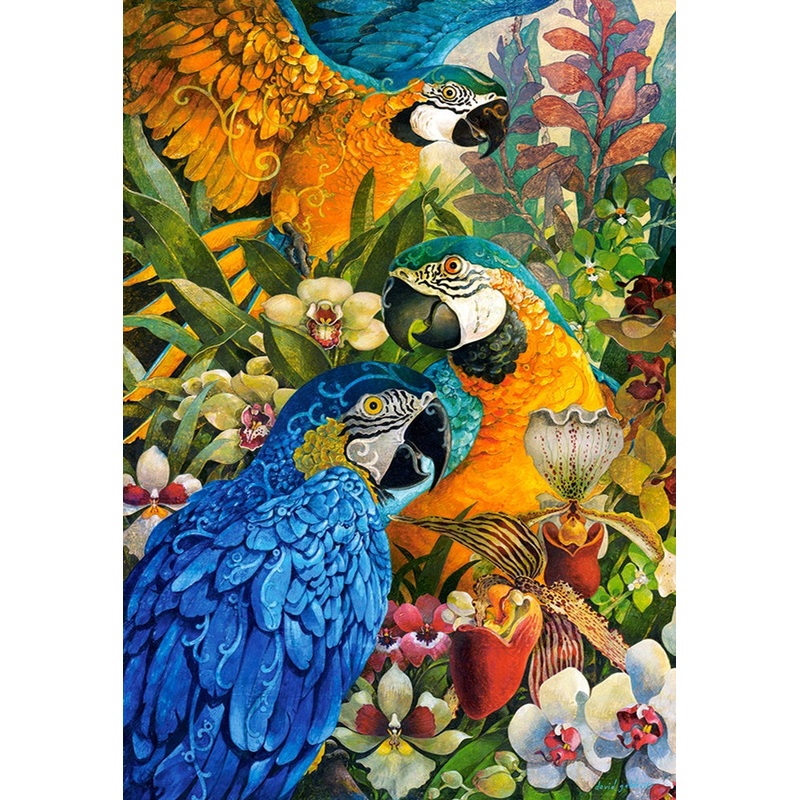 Castorland - Amazon (1000pcs)