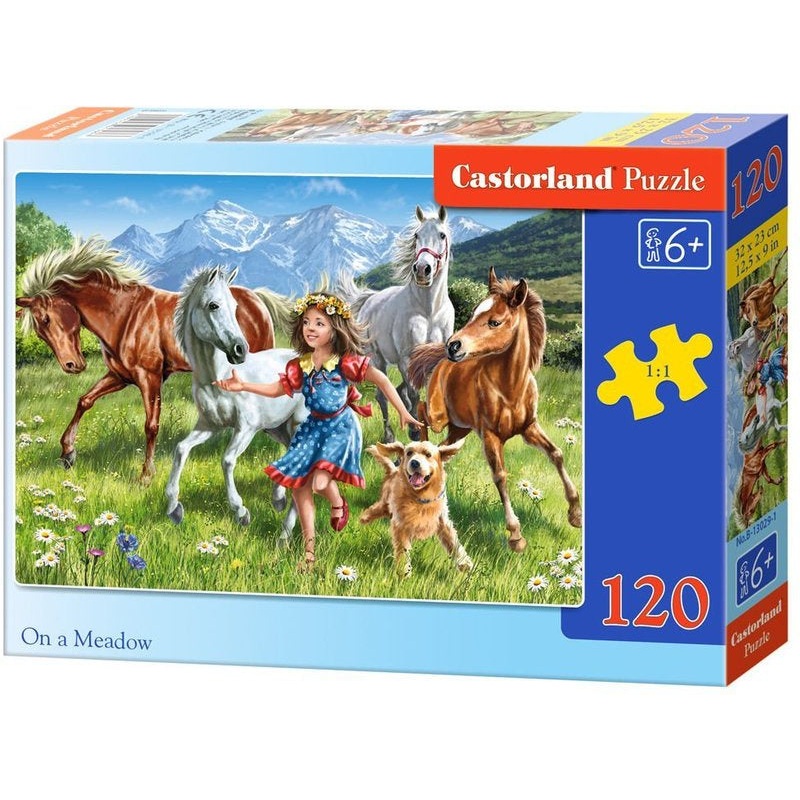 Castorland - On a Meadow (120pcs)