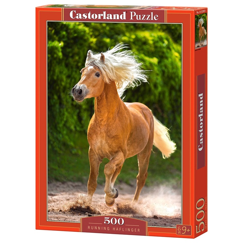 Castorland - Running The Halflinger (500pcs)