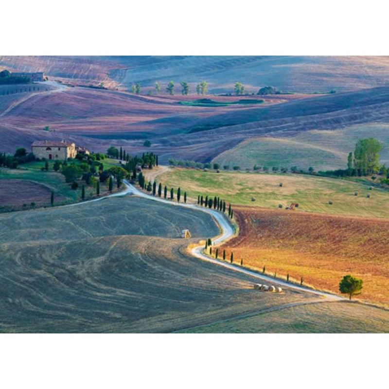 Ravensburger - Podere Terrap-Pienza (1000pcs)