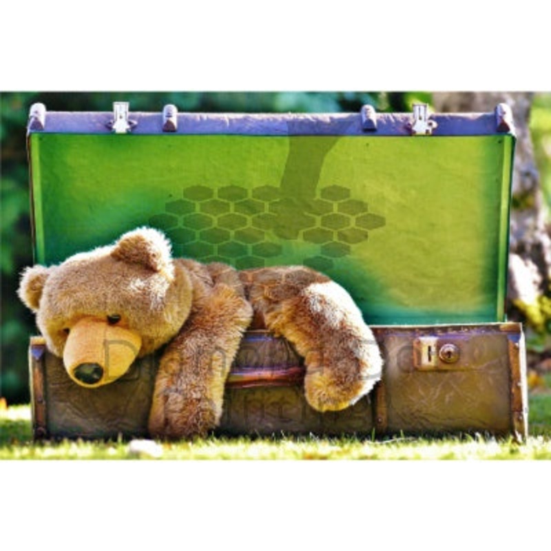 Diamond-Dot - DDP0366 - Travel Buddy (40x30) Full