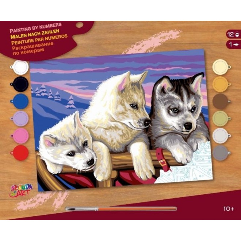 KSG - Paint By Numbers Senior - Huskies