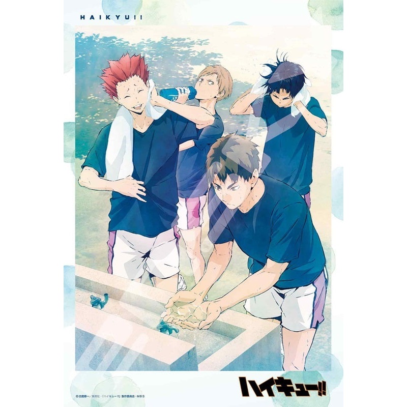 Haikyu!! Ensky Jigsaw Puzzle 300 Piece 300-3052 Shiryoku no Naka de