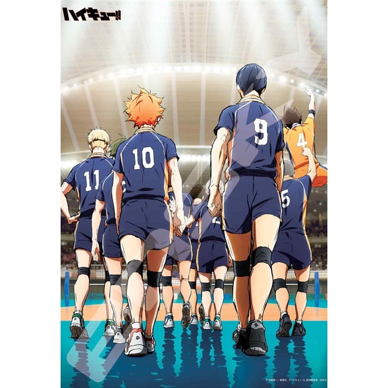 Haikyu!! Ensky Jigsaw Puzzle 500 Piece 500-543 Start Game!