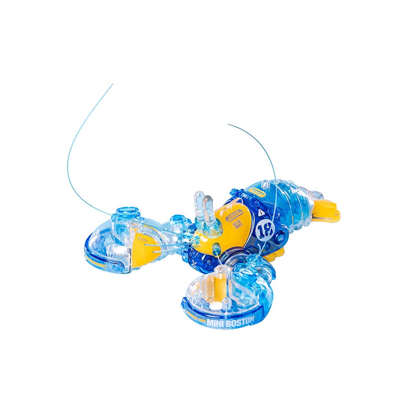 ORANGE CAT INDUSTRY Boston Lobster (Crystal Blue)