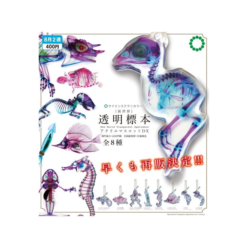 Science Techni Colour Ikimon New World Trasparent Specimens Acrylic Mascot DX(1 Random)